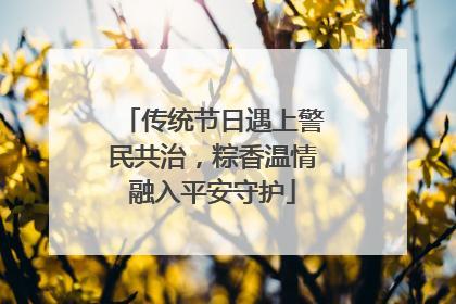 传统节日遇上警民共治，粽香温情融入平安守护