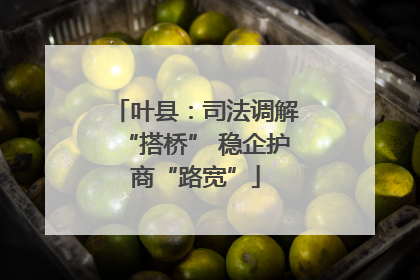 叶县：司法调解“搭桥” 稳企护商“路宽”