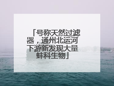 号称天然过滤器，通州北运河下游新发现大量蚌科生物