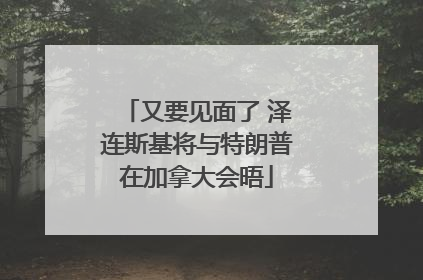 又要见面了 泽连斯基将与特朗普在加拿大会晤