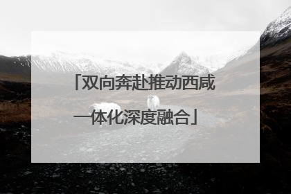 双向奔赴推动西咸一体化深度融合