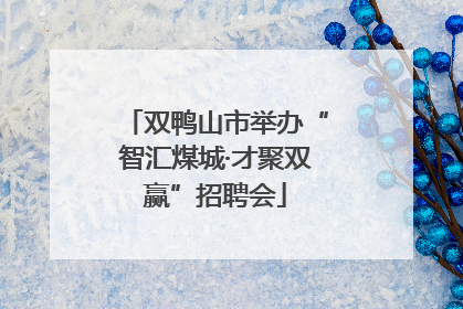 双鸭山市举办“智汇煤城·才聚双赢”招聘会