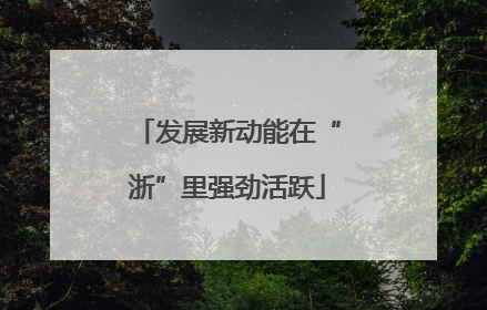 发展新动能在“浙”里强劲活跃