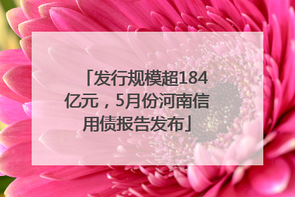 发行规模超184亿元，5月份河南信用债报告发布