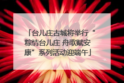 台儿庄古城将举行“粽情台儿庄 舟歌赋安康”系列活动迎端午