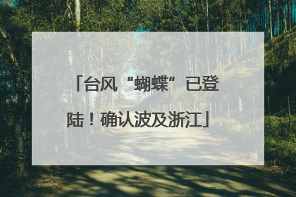 台风“蝴蝶”已登陆！确认波及浙江