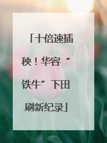 十倍速插秧！华容“铁牛”下田刷新纪录