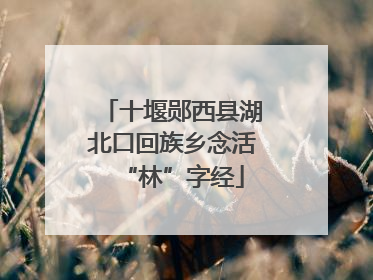 十堰郧西县湖北口回族乡念活“林”字经