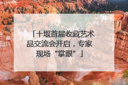 十堰首届收藏艺术品交流会开启，专家现场“掌眼”