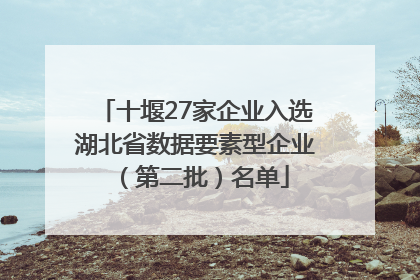 十堰27家企业入选湖北省数据要素型企业（第二批）名单
