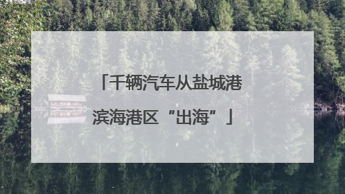 千辆汽车从盐城港滨海港区“出海”