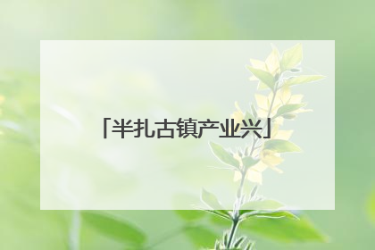 半扎古镇产业兴