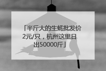半斤大的生蚝批发价2元/只，杭州这里日出50000斤