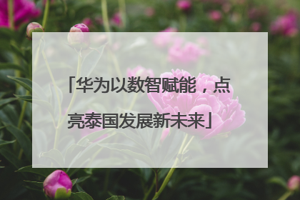 华为以数智赋能，点亮泰国发展新未来