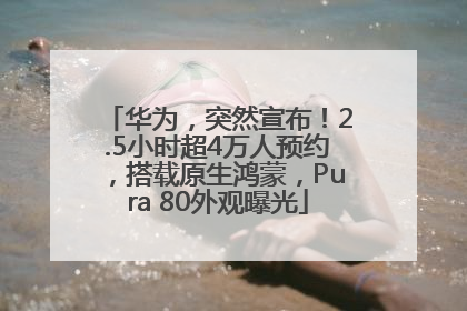 华为，突然宣布！2.5小时超4万人预约，搭载原生鸿蒙，Pura 80外观曝光