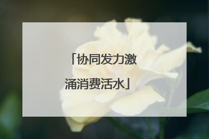 协同发力激涌消费活水