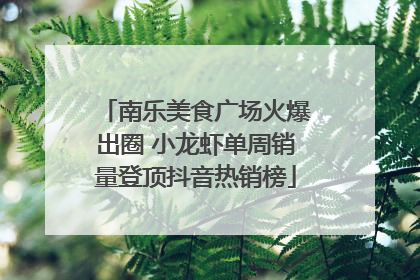 南乐美食广场火爆出圈 小龙虾单周销量登顶抖音热销榜