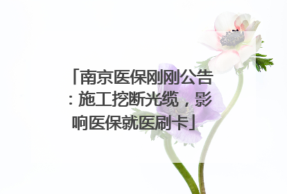 南京医保刚刚公告：施工挖断光缆，影响医保就医刷卡