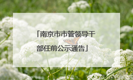 南京市市管领导干部任前公示通告