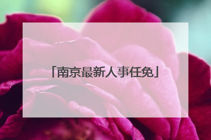 南京最新人事任免