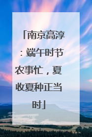 南京高淳：端午时节农事忙，夏收夏种正当时