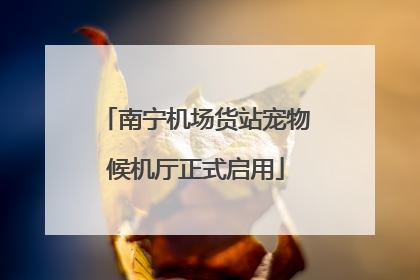 南宁机场货站宠物候机厅正式启用