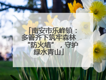 南安市乐峰镇：多管齐下筑牢森林“防火墙”，守护绿水青山