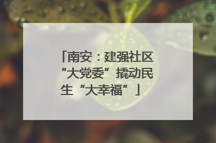 南安：建强社区“大党委”撬动民生“大幸福”