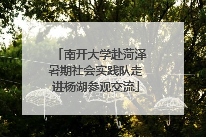 南开大学赴菏泽暑期社会实践队走进杨湖参观交流