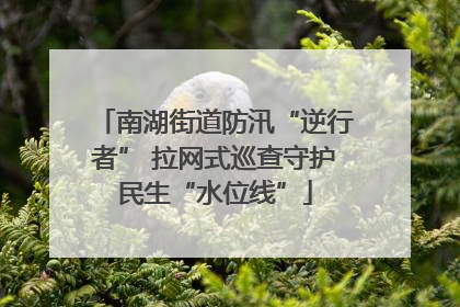南湖街道防汛“逆行者” 拉网式巡查守护民生“水位线”