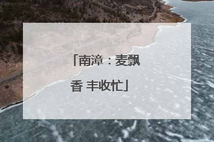 南漳：麦飘香 丰收忙