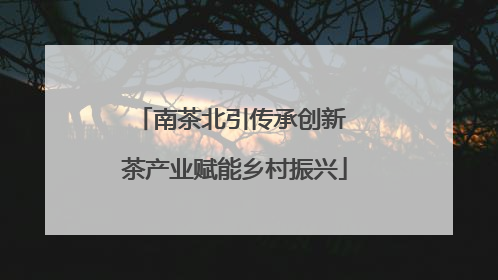 南茶北引传承创新 茶产业赋能乡村振兴