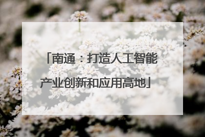 南通：打造人工智能产业创新和应用高地