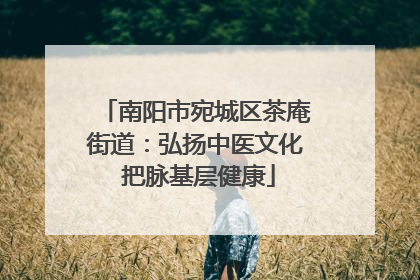 南阳市宛城区茶庵街道：弘扬中医文化 把脉基层健康