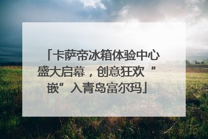 卡萨帝冰箱体验中心盛大启幕，创意狂欢“嵌”入青岛富尔玛