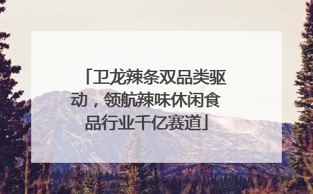 卫龙辣条双品类驱动，领航辣味休闲食品行业千亿赛道