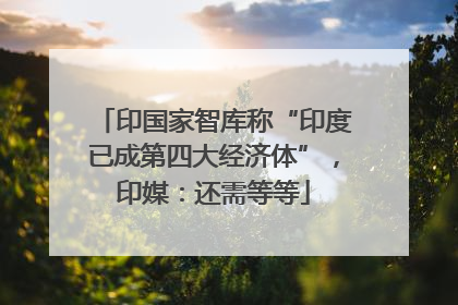 印国家智库称“印度已成第四大经济体”，印媒：还需等等