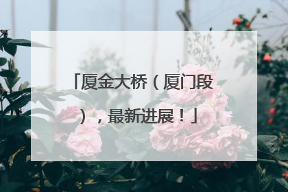 厦金大桥（厦门段），最新进展！
