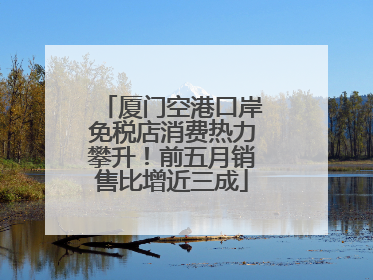 厦门空港口岸免税店消费热力攀升！前五月销售比增近三成