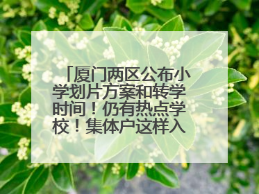 厦门两区公布小学划片方案和转学时间！仍有热点学校！集体户这样入学……