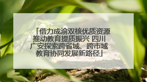 借力成渝双核优质资源推动教育提质振兴 四川广安探索跨省域、跨市域教育协同发展新路径
