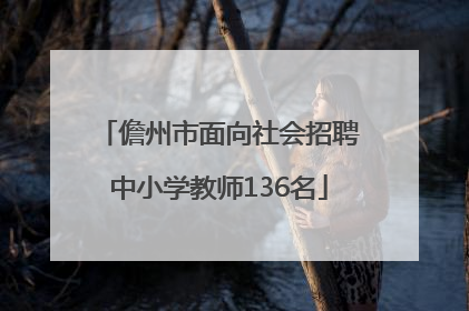 儋州市面向社会招聘中小学教师136名