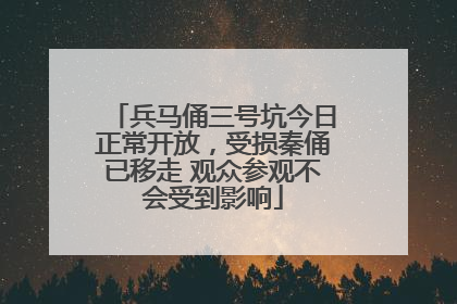 兵马俑三号坑今日正常开放，受损秦俑已移走 观众参观不会受到影响