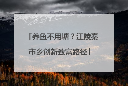 养鱼不用塘？江陵秦市乡创新致富路径