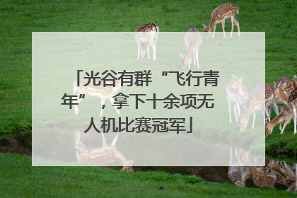 光谷有群“飞行青年”，拿下十余项无人机比赛冠军