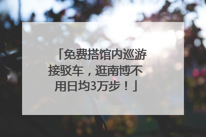 免费搭馆内巡游接驳车，逛南博不用日均3万步！