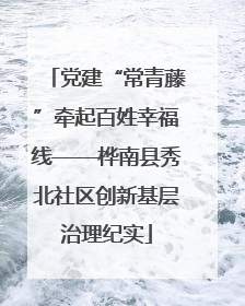 党建“常青藤”牵起百姓幸福线——桦南县秀北社区创新基层治理纪实