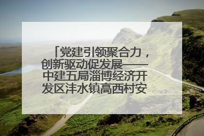 党建引领聚合力，创新驱动促发展——中建五局淄博经济开发区沣水镇高西村安置项目建设纪实