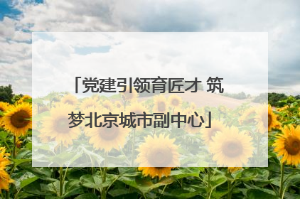 党建引领育匠才 筑梦北京城市副中心