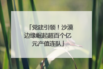 党建引领！沙漠边缘崛起超百个亿元产值连队